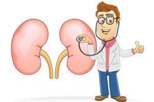 Healthy-kidneys-2-300x200.jpg
