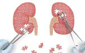 keep-your-kidneys-and-gallbladder-healthy-300x187.jpg