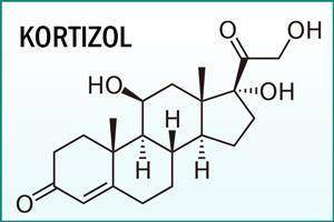 analiz-mochi-na-kortizol_1.jpg