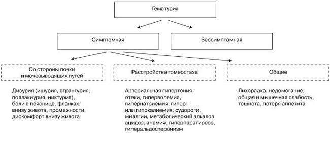 klassifikatsiya-simptomov-soputstvuyushchikh-gematurii.jpg