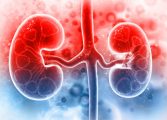 Human-kidney-on-scientific-background-1090830664_3600x2400-167x120.jpeg