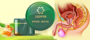 zdorov-krem-vosk-ot-prostatita-02-300x134.jpeg