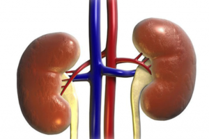 The-effects-of-alcohol-on-the-kidneys-640x426-300x200.png