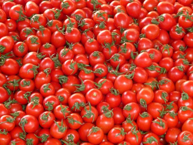 tomatoes-73913_1280-1024x768.jpg