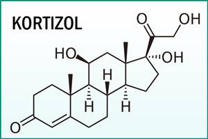 analiz-mochi-na-kortizol_1.jpg